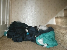 Clothes Katie