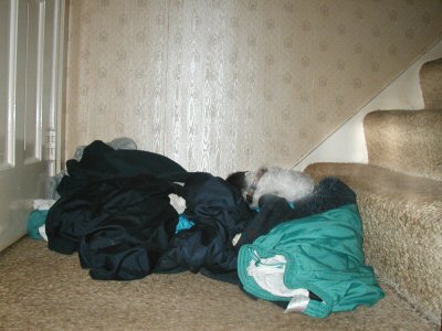 Clothes Katie