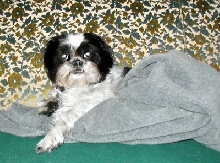 Comfy couch...