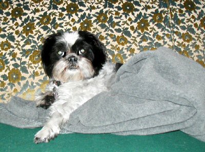 Comfy couch...