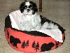 Cool bed Katie