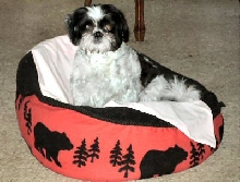 Cool bed two....Katie