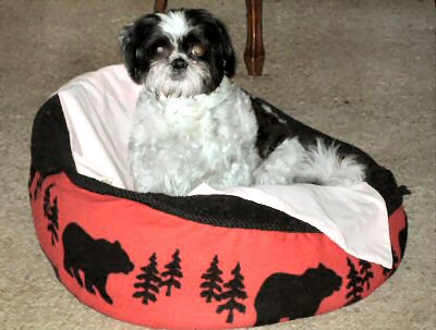 Cool bed two....Katie