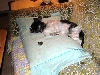 Couch...taking over