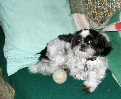 Couch, pillow..TB