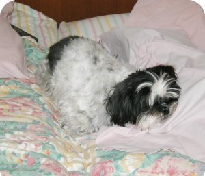 Do I have to get up?