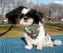 Dec. park day....