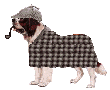 Detective Dog