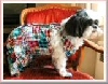 Dresschairsig