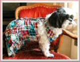 Dresschairsig