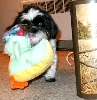 Ducky Katie