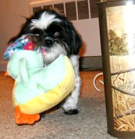 Ducky Katie