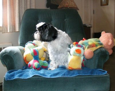 Easter Bunny