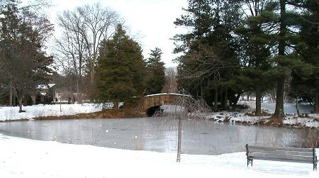 Elizabeth Park latest
