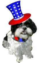 Fourth of July Katie hat....smaller