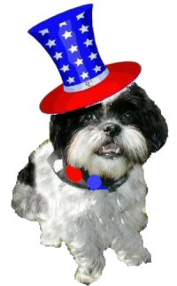 Fourth of July Katie hat....smaller