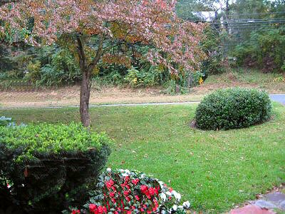Fall arrives...09