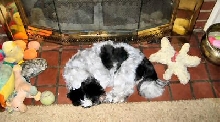 Fireplace tiles Katie
