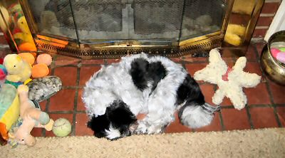 Fireplace tiles Katie