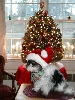 First Christmas picture