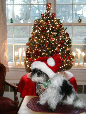First Christmas picture