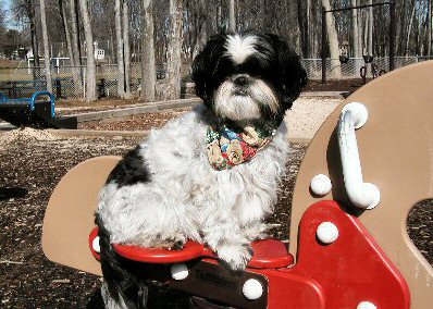 First trip to the kiddie playground...