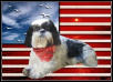 God Bless America...