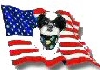 Flagsig