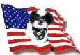 Flagsig