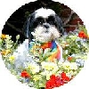 Flowerssig