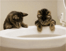 Flush Teddy smallest