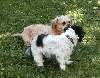 Follow me, Benji.