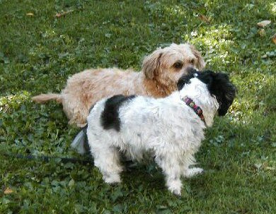 Follow me, Benji.