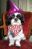 Fourth of July Katie ...08