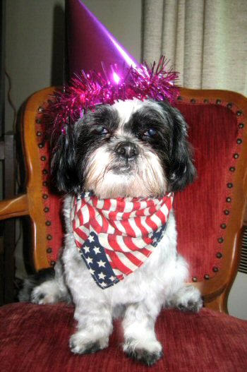 Fourth of July Katie ...08