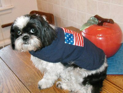 Fourth of July Katie