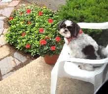 Front stoop Katie two