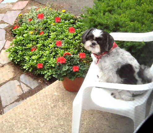Front stoop Katie two