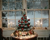 Front window snow, tree...