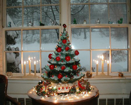 Front window snow, tree...