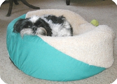 Maybe I'll get up and maybe I won't...