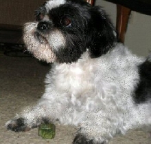 Greenie