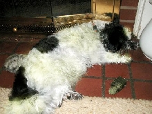 Greenie...fireplace