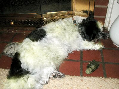 Greenie...fireplace