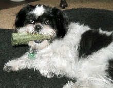 Greenie....mine..all mine