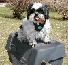 Grill King