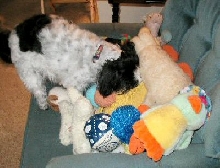 Half of toys now