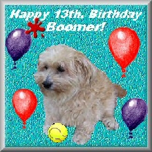 Happy Birthday Boomer