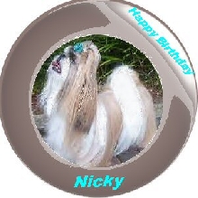 Happy Birthday Nicky