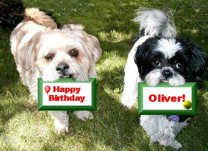 Oliver...birthday